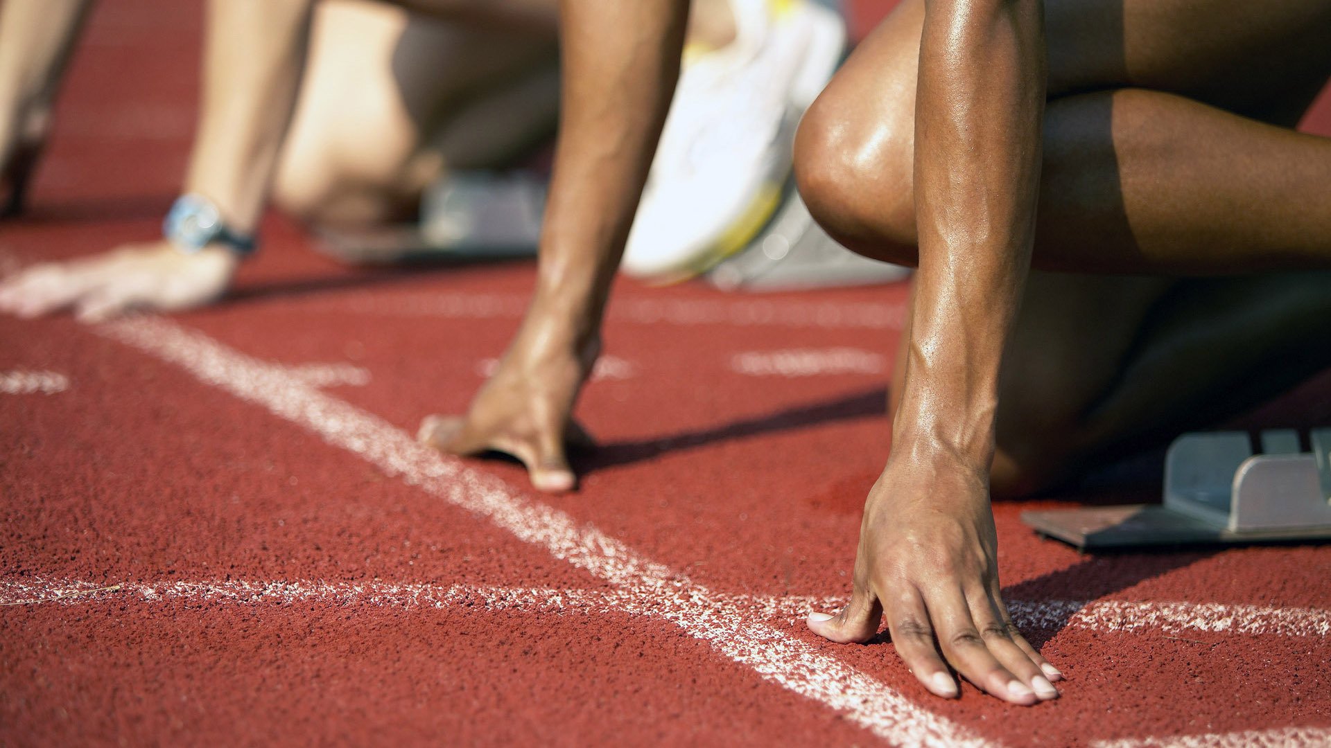 “高新体育中心:世界顶级武术选手齐聚,竞技与文化交织”