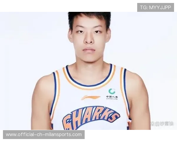 从草根到职业的中国篮球奇迹,中国篮球辉煌时刻 从草根到职业的中国篮球奇迹,中国篮球辉煌时刻